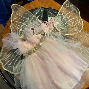 COPY - Pottery barn kids - fairy light up costume